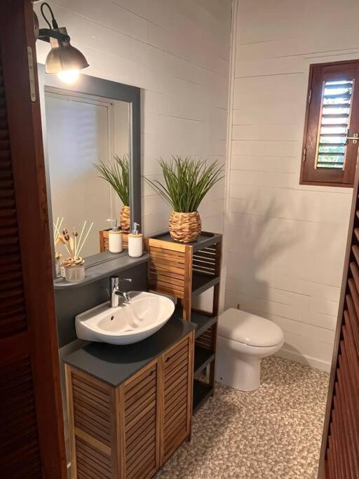 Bungalow Avec Jacuzzi Privatif Βίλα Sainte-Rose Εξωτερικό φωτογραφία